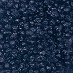 Photo of dried wild blueberries
