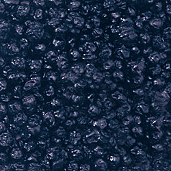 Photo of dried wild blueberries