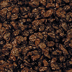 Photo of Thompson seedless raisins
