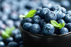 Close up photo of blueberries